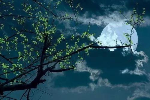 夜晚更舒适，相对梦想