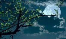 夜阑更秉烛，相对如梦寐