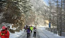 不辞山路远，踏雪也相过。