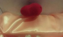 我是妈妈下的蛋_900字