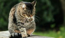 2014让我们一起疯狂_550字