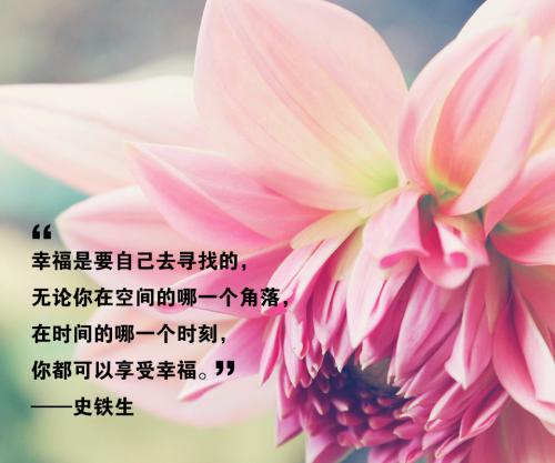 抓住这个现有的幸福_450字