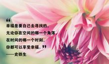 抓住这现有的幸福_450字