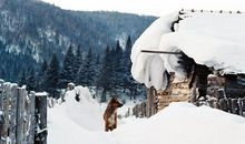 下雪天，真好_600字