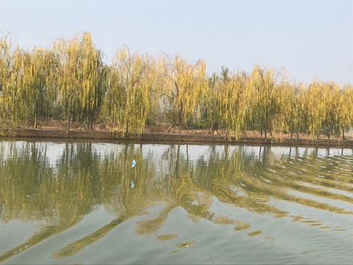 烟雾雨池的游客，在水中的梦想
