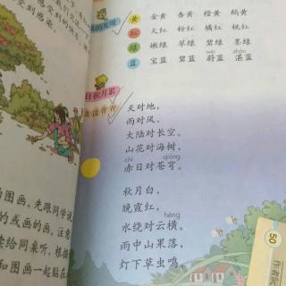 我发现了语言的美丽_500字