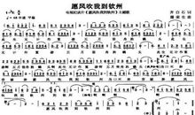 风吹过_800字