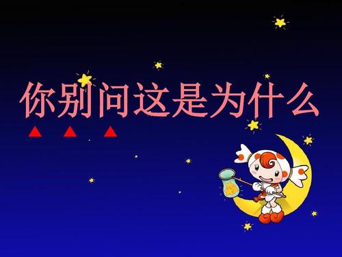 不要问，这就是为什么_250字