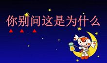 你别问，这是为什么_250字
