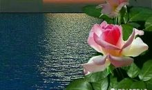 走进岁月深处_750字