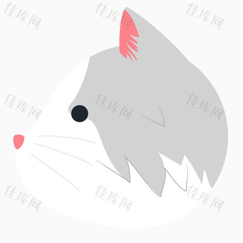 侧面_800字