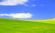 美丽的呼伦贝尔_550字