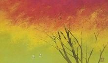 快乐是一种美德_450字