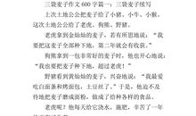 《三袋麦子》续写（二）_350字