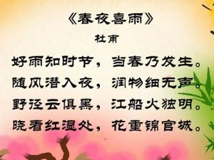 “春天的雨”写_350字
