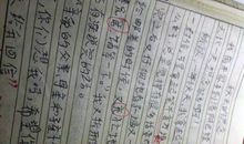 秋思改写（四）_300字