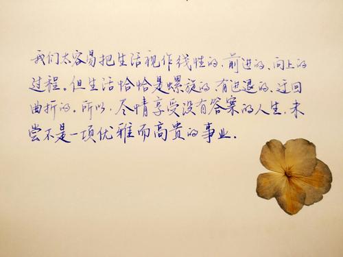 14岁的生活_900字