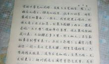 打群架的小蚂蚁_450字