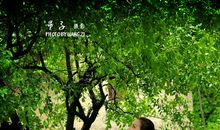 幸福遐想曲_2000字