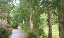 让心灵在书中栖息_700字