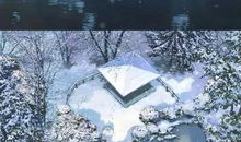 冰冷的夏天_750字