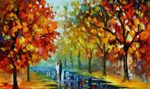 枫树和七颗星星_150字