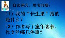 不倒翁给我的启示_350字