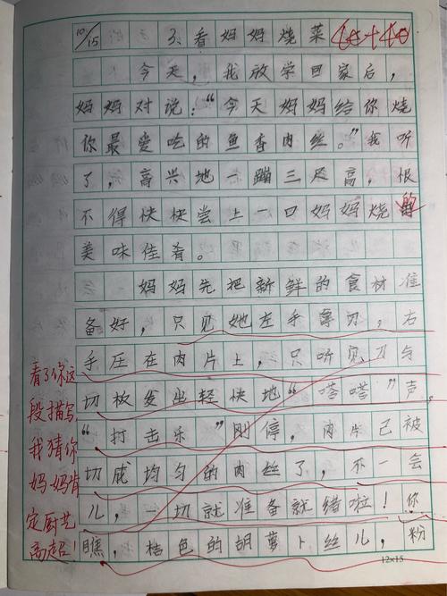 看着你母亲的烤_600字