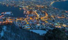 读《一只狗和他的城市》有感_1500字