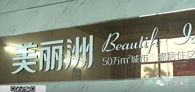 杨博和狗_1500字