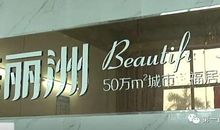 杨伯和狗_1500字