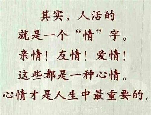 同学_700字