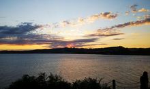 猛虎白月亮[八]完结篇_2000字