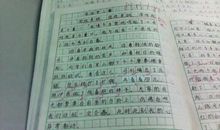 初中生秋游作文：秋游秦皇岛_650字