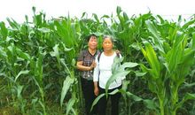 乡村乐趣多_500字