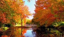 晒秋天——香山公园一角_100字