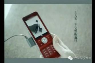 不完整的旋律_200字