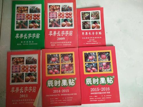 1月份奖项;一个苹果_750字