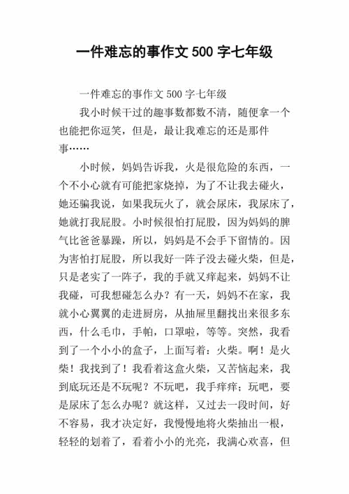 令人难忘的事情_500字