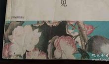 人生若只如初见_450字