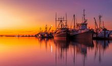 这个深秋的事_1500字