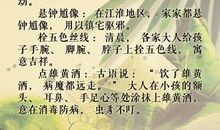 端午节的习俗_450字
