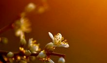 感悟，人生_2000字