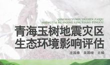 给玉树地震灾区人们的一封信_1000字