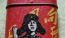 向雷锋学习_2000字