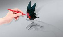 蝴蝶的启示_700字