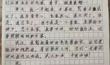 给爸爸、妈妈的一封信_900字