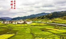 在书香的田野上_900字