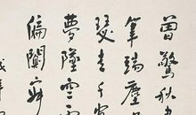 感怀鲁迅先生_600字