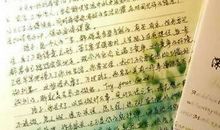 给破坏环境人们的一封信_550字